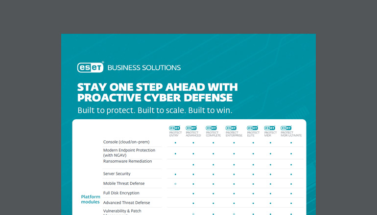 Article ESET Business Solutions  Image