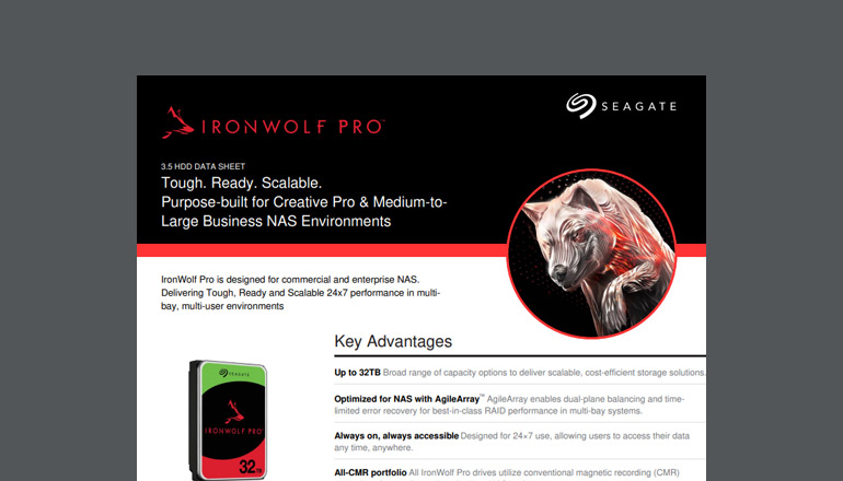 Article IronWolf Pro: Tough, Ready, Scalable  Image