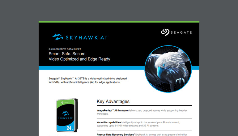 Article SkyHawk AI: Smart, Safe, Secure  Image