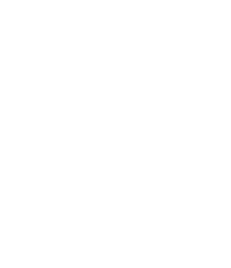 Insight diversity and inclusion