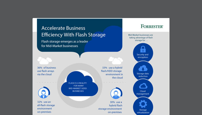 Article Infographic | Accelerate Business Efficiency With Flash Storage Image