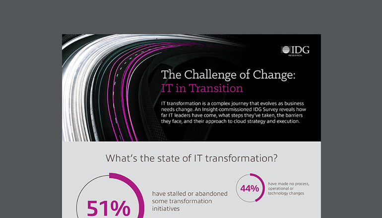 Article Infographic: IT in Transition Image