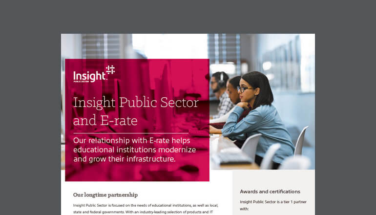 Article Insight Public Sector and E-rate  Image