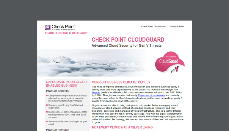 Article Check Point CloudGuard Security Image