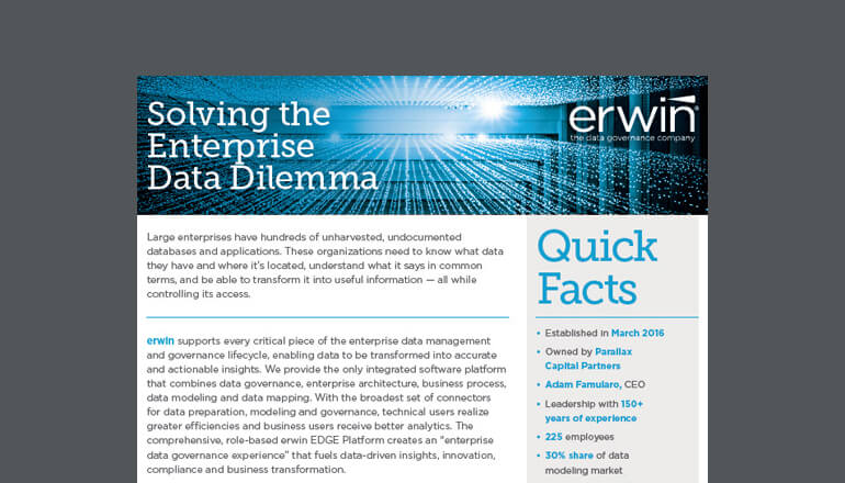 Article Solving the Enterprise Data Dilemma Quick Facts Image