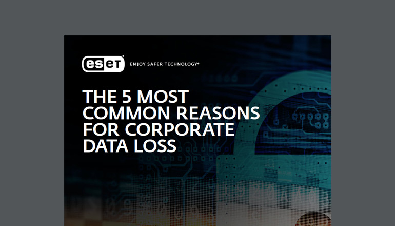 Article The 5 Most Common Causes of Data Loss Image