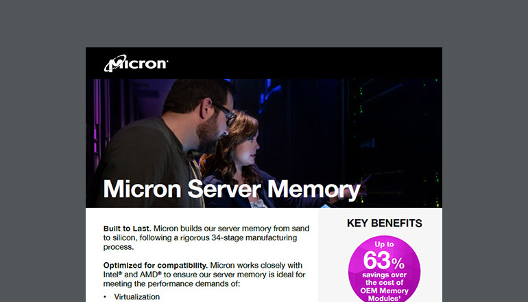Article Micron Server Memory Image
