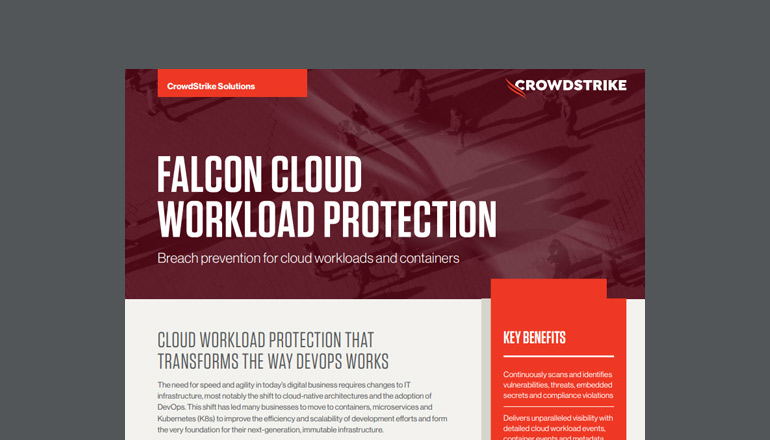 Article Falcon Cloud Workload Protection  Image