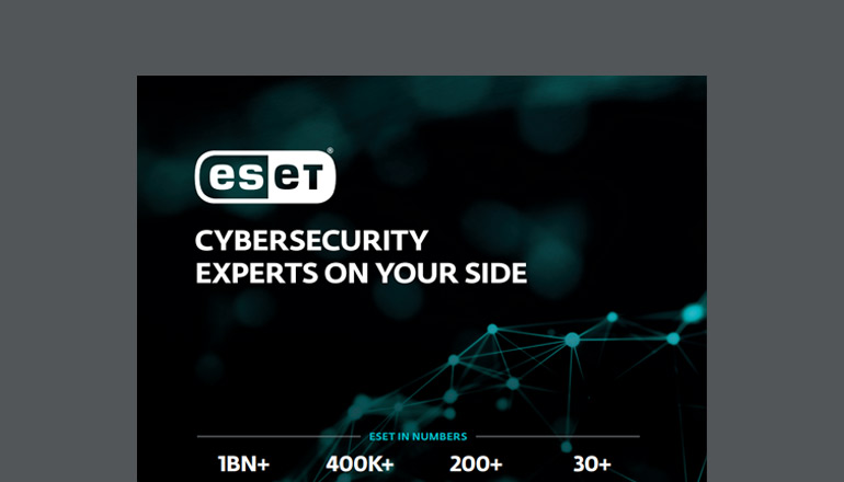 Article Cybersecurity Experts on Your Side Image