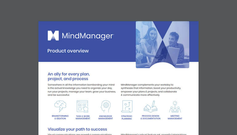 Article MindManager Product Overview Image
