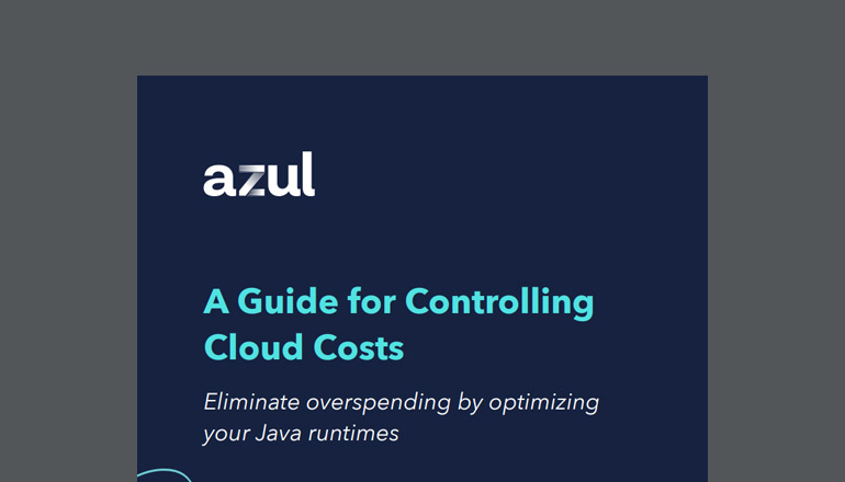 Article A Guide for Controlling Cloud Costs Image