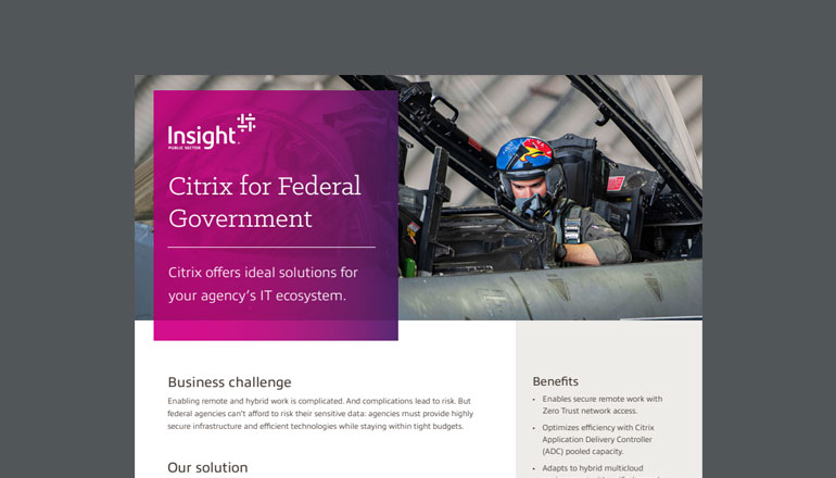 Article Citrix for Federal Government  Image
