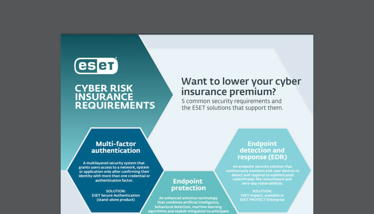 Article Cyber Risk Insurance Requirements Image