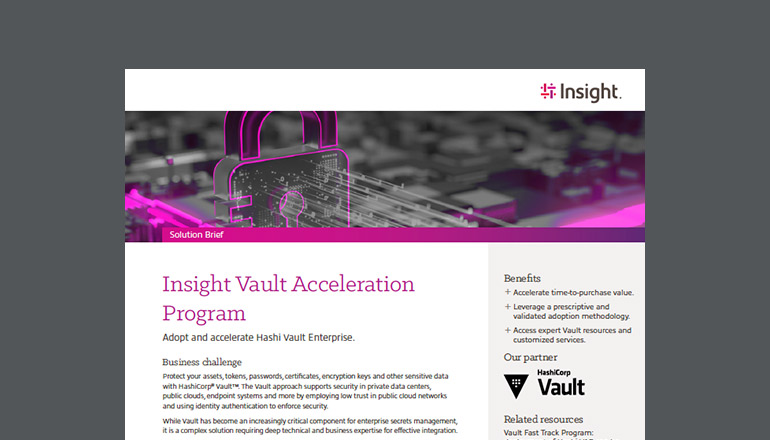 Article Insight Vault Acceleration Program  Image