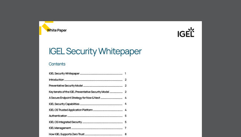 Article IGEL Security Whitepaper  Image