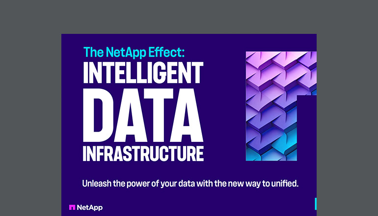 Article The NetApp Effect: Intelligent Data Infrastructure  Image