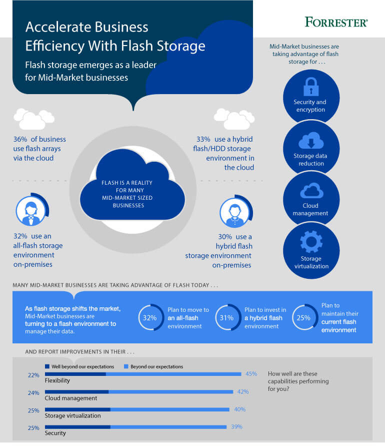 Article Infographic | Accelerate Business Efficiency With Flash Storage Image