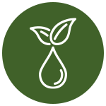 Water and plant icon