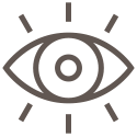Visibility icon