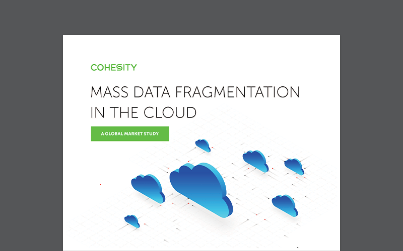 Mass Data Fragmentation in the Cloud whitepaper thumbnail