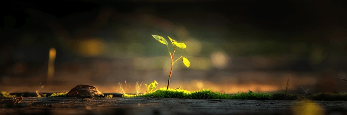 Samsung Business Monitors For a Greener, Smarter Future