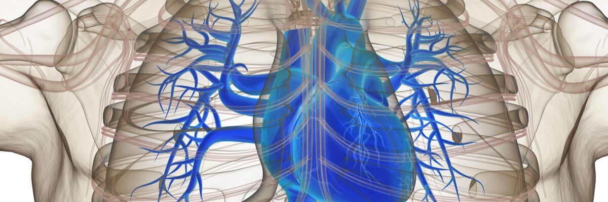 Concept of technology procurement specialist reviewing business software needs and capabilities