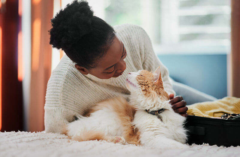A Blueprint for Compassion: Gateway Services Improves Pet Aftercare With Real-Time Data Cat playing with a person