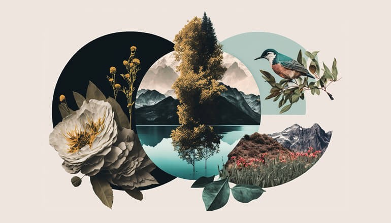 Adobe Creative Cloud webinar thumb graphic