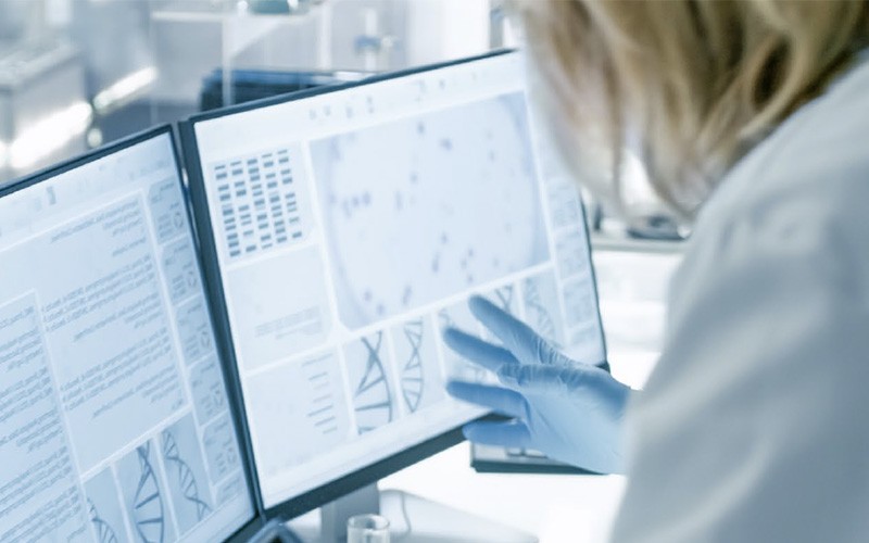 Doctor using desktop