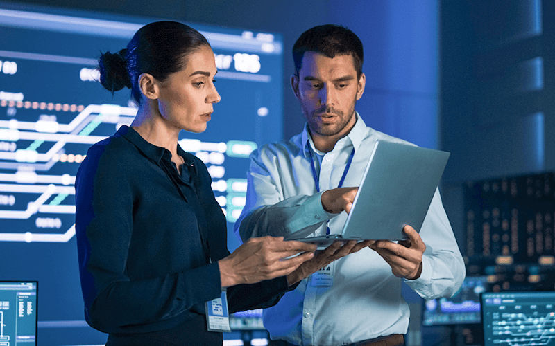 Workmates collaborating with each other