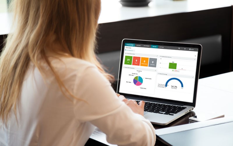 Woman working on laptop displaying Ipswitch WhatsUp Gold
