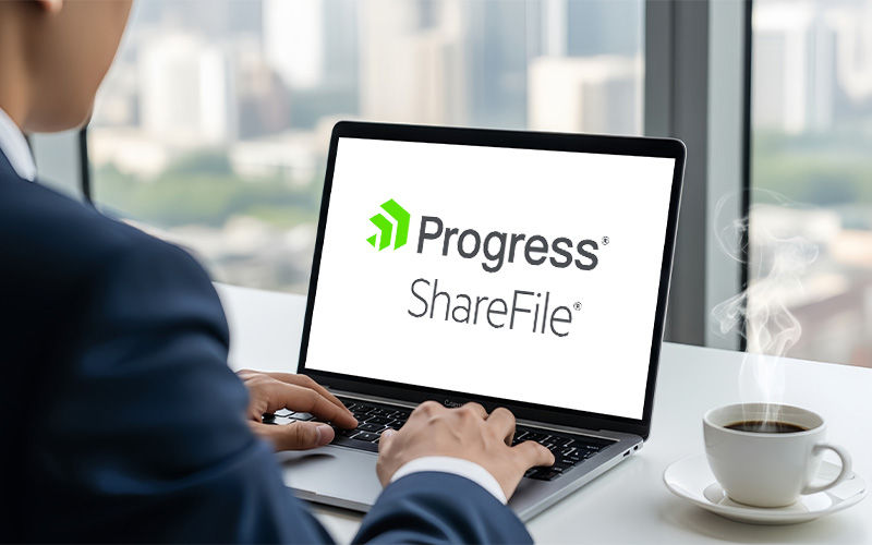 ShareFile Man working using his laptop