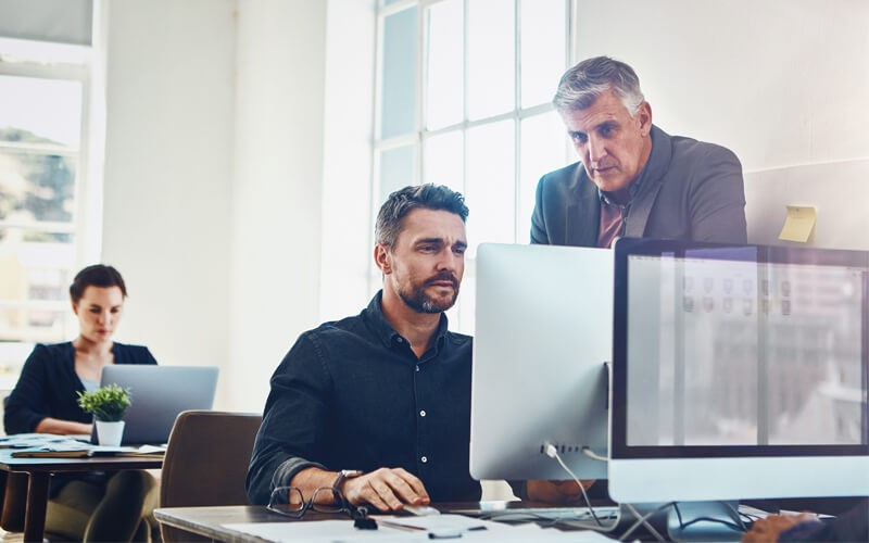 Two men working at desktop monitor